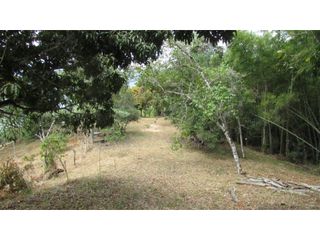 Foto 12 de Maat vende Lote campestre, Salitre Blanco L26 9.380 m2 $325 Millones.