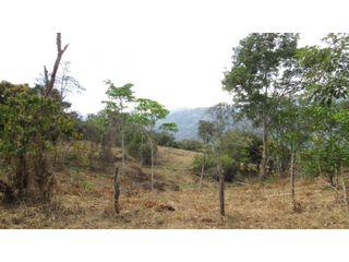 Foto 7 de Maat vende Lote campestre, Salitre Blanco L26 9.380 m2 $325 Millones.