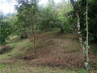 Foto 14 de Maat vende Lote 3 en Condominio, La Masata 1.538m2 $215Millones.