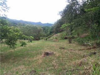 Foto 13 de Maat vende Lote 3 en Condominio, La Masata 1.538m2 $215Millones.