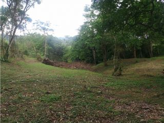 Foto 3 de Maat vende Lote 3 en Condominio, La Masata 1.538m2 $215Millones.