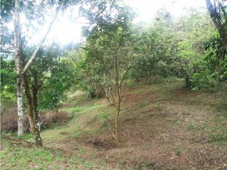 Foto 6 de Maat vende Lote 3 en Condominio, La Masata 1.538m2 $215Millones.