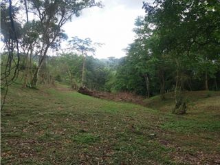 Foto 12 de Maat vende Lote 3 en Condominio, La Masata 1.538m2 $215Millones.