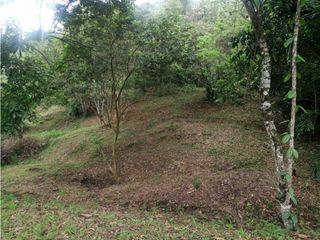 Foto 1 de Maat vende Lote 3 en Condominio, La Masata 1.538m2 $215Millones.