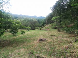 Foto 7 de Maat vende Lote 3 en Condominio, La Masata 1.538m2 $215Millones.