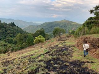 FINCA Y LOTE DAPA