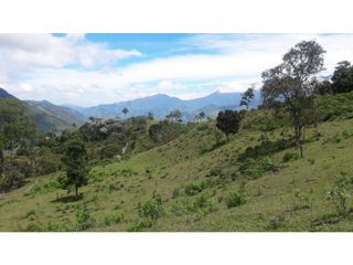 Foto 4 de finca en buga valle vereda el placer nogales