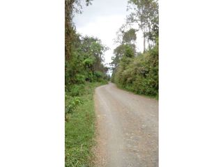 Foto 7 de finca en buga valle vereda el placer nogales