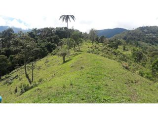 Foto 2 de finca en buga valle vereda el placer nogales