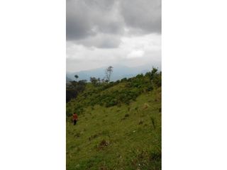 Foto 3 de finca en buga valle vereda el placer nogales