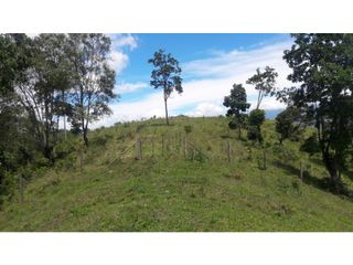 Foto 5 de finca en buga valle vereda el placer nogales