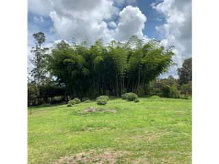 Venta lote en llanogrande