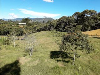 Venta De Lote En Llanogrande