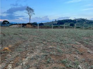 Venta de Lote Industrial Ubicado en Guarne la Mosquita