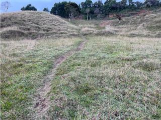 Venta de Lote Industrial Ubicado en Guarne la Mosquita