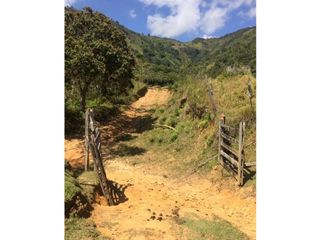 Finca para la venta en Gomez  Plata