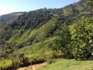 Finca para la venta en Gomez  Plata