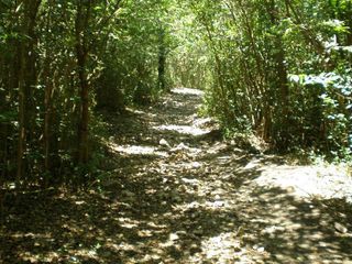 Foto 1 de Venta Terreno - La Cumbre