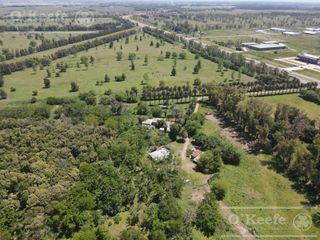 Foto 8 de Único campo en venta de 256 has sobre Ruta 2 - Ideal desarrollo Inmobiliario