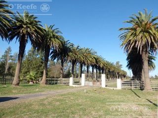 Foto 4 de Único campo en venta de 256 has sobre Ruta 2 - Ideal desarrollo Inmobiliario
