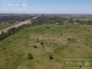Foto 3 de Único campo en venta de 256 has sobre Ruta 2 - Ideal desarrollo Inmobiliario