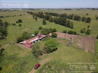 Foto 13 de Único campo en venta de 256 has sobre Ruta 2 - Ideal desarrollo Inmobiliario