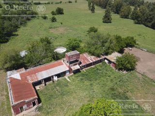 Foto 10 de Único campo en venta de 256 has sobre Ruta 2 - Ideal desarrollo Inmobiliario