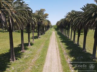 Foto 1 de Único campo en venta de 256 has sobre Ruta 2 - Ideal desarrollo Inmobiliario