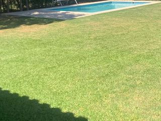 Foto 14 de Casa en alquiler temporal desde octubre. No fracciona. 3 dormitorios, parrilla y piscina. Impecable.
