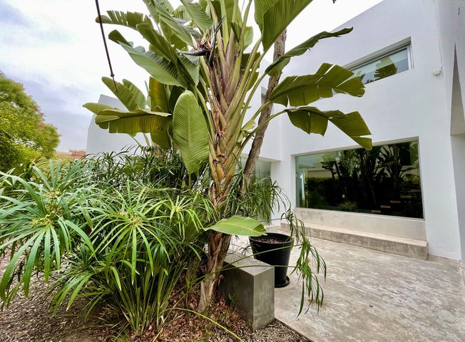 place photo 47