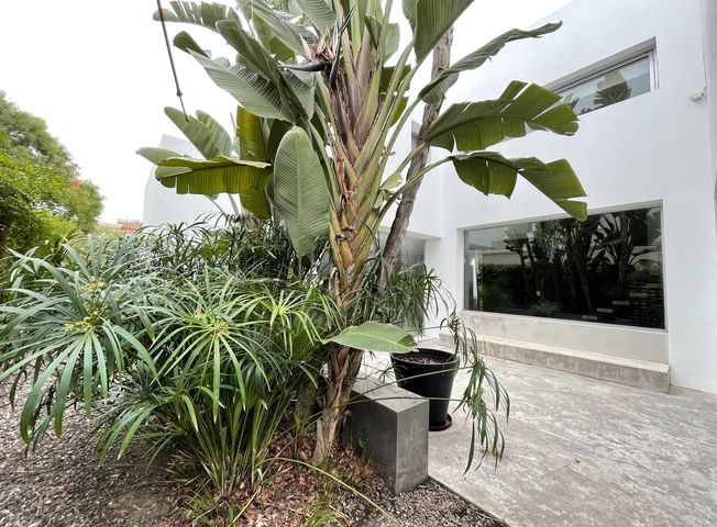 place photo 37