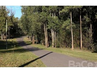 Foto 12 de VENTA TERRENO 1027m2 CAMPO TIMBO OPORTUNIDAD