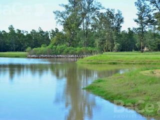 Foto 16 de VENTA TERRENO 1027m2 CAMPO TIMBO OPORTUNIDAD