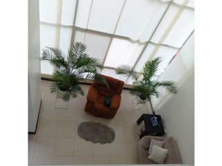 Foto 15 de Departamento en Vizcaya Gardens - Loft