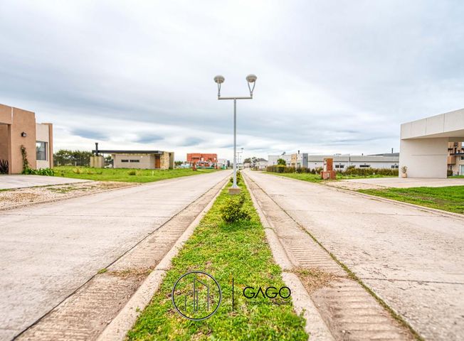 place photo 44