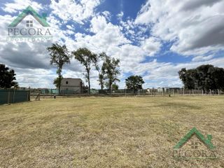 Foto 7 de Terreno - Lote - Pilar del este - San Ramiro - Lote 303