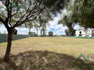 Foto 4 de Terreno - Lote - Pilar del este - San Ramiro - Lote 303
