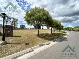Foto 2 de Terreno - Lote - Pilar del este - San Ramiro - Lote 303