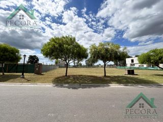 Foto 3 de Terreno - Lote - Pilar del este - San Ramiro - Lote 303