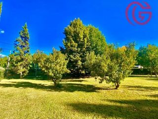 Foto 6 de GREENWOOD VENDE EXCELENTE PROPIEDAD IDEAL PARA EMPRENDIMIENTO EN EL HERMOSO VALLE DE UCO, TUNUYAN