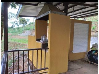 Foto 13 de VENTA  FINCA EN TOCOTA DAGUA. W 7983529  L.G