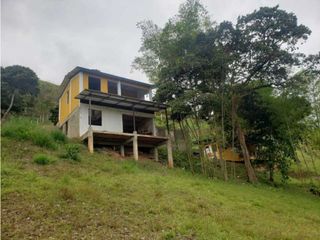 Foto 7 de VENTA  FINCA EN TOCOTA DAGUA. W 7983529  L.G