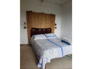 Foto 9 de VENTA  FINCA EN TOCOTA DAGUA. W 7983529  L.G