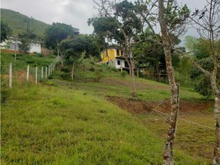 Foto 28 de VENTA  FINCA EN TOCOTA DAGUA. W 7983529  L.G