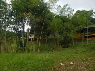 Foto 19 de VENTA  FINCA EN TOCOTA DAGUA. W 7983529  L.G