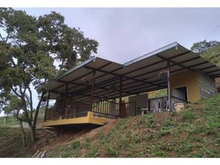 Foto 12 de VENTA  FINCA EN TOCOTA DAGUA. W 7983529  L.G