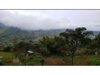 Foto 30 de VENTA  FINCA EN TOCOTA DAGUA. W 7983529  L.G