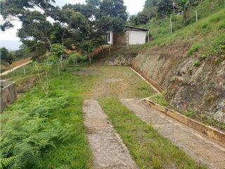 Foto 3 de VENTA  FINCA EN TOCOTA DAGUA. W 7983529  L.G