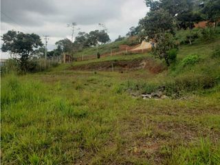 Foto 23 de VENTA  FINCA EN TOCOTA DAGUA. W 7983529  L.G