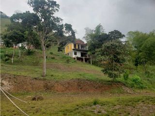 Foto 22 de VENTA  FINCA EN TOCOTA DAGUA. W 7983529  L.G